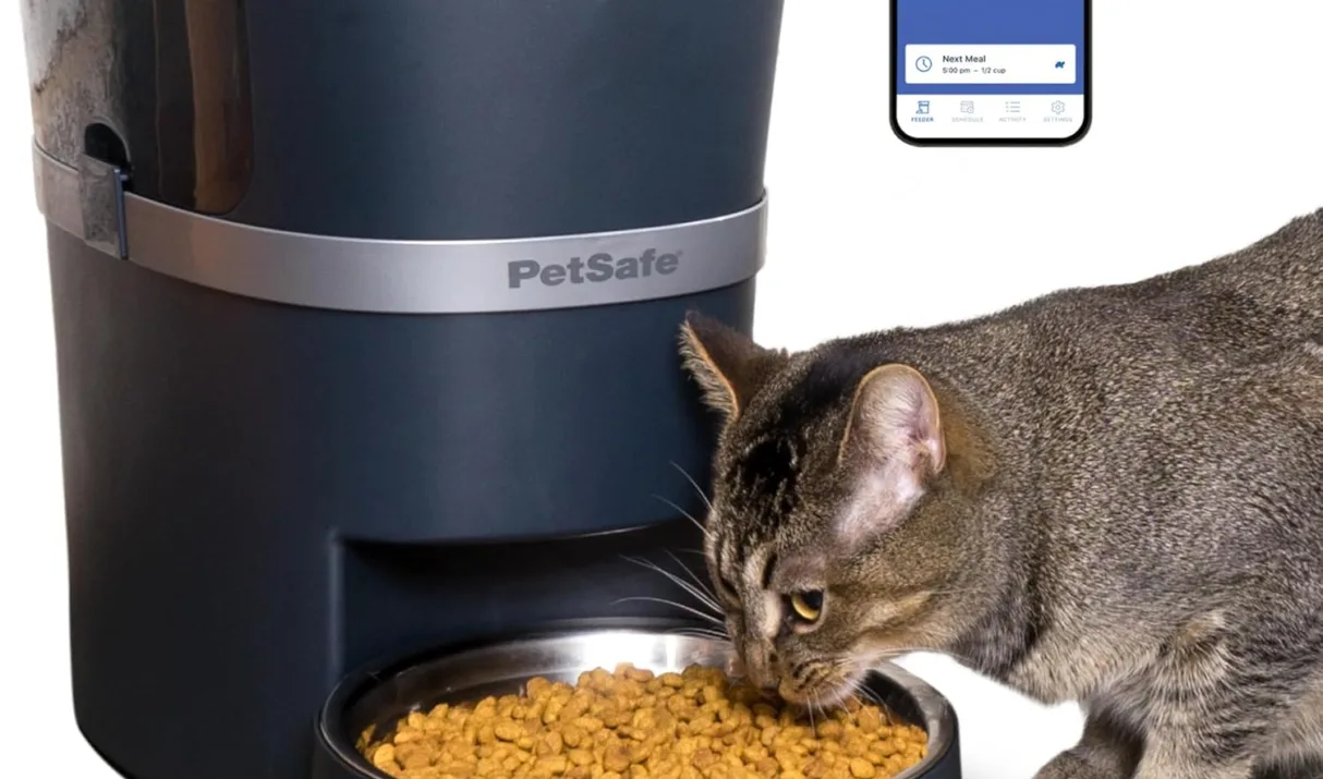 Smart Feeders: Revolutionizing Pet Care