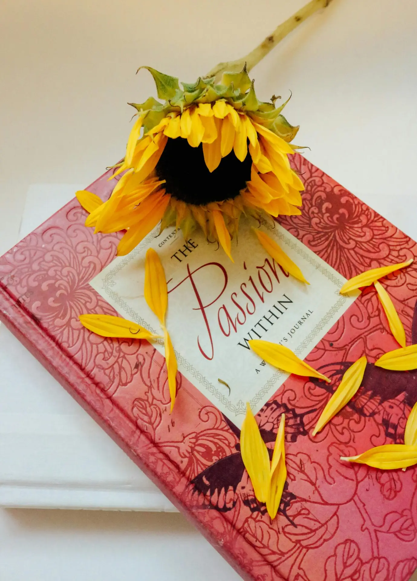 Home A vibrant sunflower rests on a decorative red hardcover journal with scattered petals.